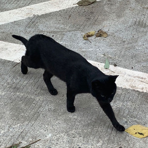 Withme资料,Withme最新歌曲,WithmeMV视频,Withme音乐专辑,Withme好听的歌