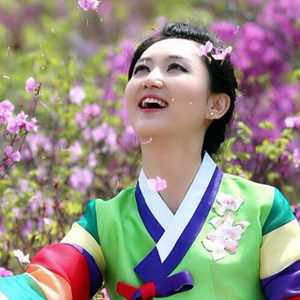 稻花盛开的故乡