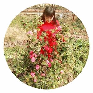 美杜拉资料,美杜拉最新歌曲,美杜拉MV视频,美杜拉音乐专辑,美杜拉好听的歌