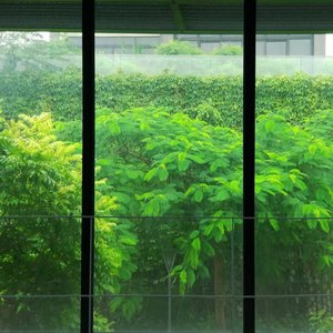 elapse资料,elapse最新歌曲,elapseMV视频,elapse音乐专辑,elapse好听的歌