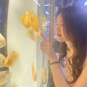 钟凯茵资料,钟凯茵最新歌曲,钟凯茵MV视频,钟凯茵音乐专辑,钟凯茵好听的歌