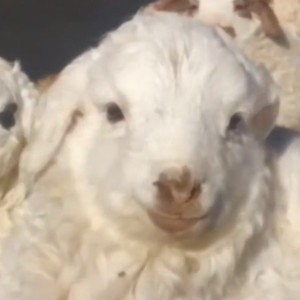 齐梓阳资料,齐梓阳最新歌曲,齐梓阳MV视频,齐梓阳音乐专辑,齐梓阳好听的歌