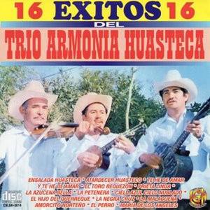 Trio Armonia Huasteca