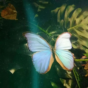 PHOMK资料,PHOMK最新歌曲,PHOMKMV视频,PHOMK音乐专辑,PHOMK好听的歌