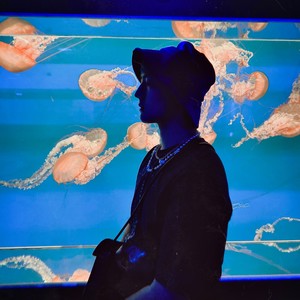 贪杯鸡资料,贪杯鸡最新歌曲,贪杯鸡MV视频,贪杯鸡音乐专辑,贪杯鸡好听的歌