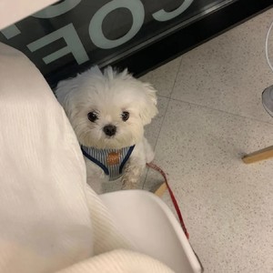 ZJ.资料,ZJ.最新歌曲,ZJ.MV视频,ZJ.音乐专辑,ZJ.好听的歌