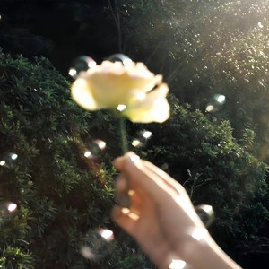 柏林雾资料,柏林雾最新歌曲,柏林雾MV视频,柏林雾音乐专辑,柏林雾好听的歌