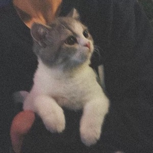 慕言资料,慕言最新歌曲,慕言MV视频,慕言音乐专辑,慕言好听的歌