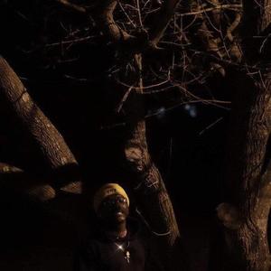 LilTrxptendo资料,LilTrxptendo最新歌曲,LilTrxptendoMV视频,LilTrxptendo音乐专辑,LilTrxptendo好听的歌