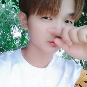 吴林青 - 新鸳鸯蝴蝶梦