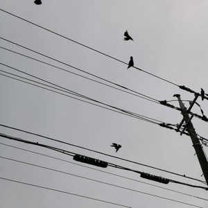 颜峻资料,颜峻最新歌曲,颜峻MV视频,颜峻音乐专辑,颜峻好听的歌