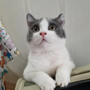 谢清源资料,谢清源最新歌曲,谢清源MV视频,谢清源音乐专辑,谢清源好听的歌