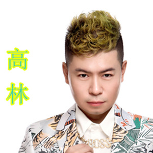 高林资料,高林最新歌曲,高林MV视频,高林音乐专辑,高林好听的歌