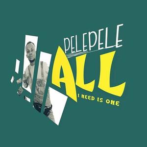 PelePele资料,PelePele最新歌曲,PelePeleMV视频,PelePele音乐专辑,PelePele好听的歌