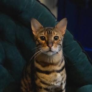 好梦留人睡资料,好梦留人睡最新歌曲,好梦留人睡MV视频,好梦留人睡音乐专辑,好梦留人睡好听的歌