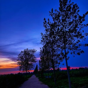 QAQA资料,QAQA最新歌曲,QAQAMV视频,QAQA音乐专辑,QAQA好听的歌