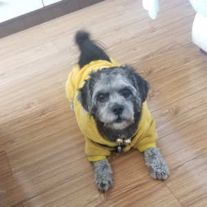 星晨star资料,星晨star最新歌曲,星晨starMV视频,星晨star音乐专辑,星晨star好听的歌