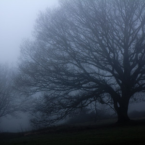 slewy资料,slewy最新歌曲,slewyMV视频,slewy音乐专辑,slewy好听的歌