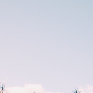 shameless.资料,shameless.最新歌曲,shameless.MV视频,shameless.音乐专辑,shameless.好听的歌