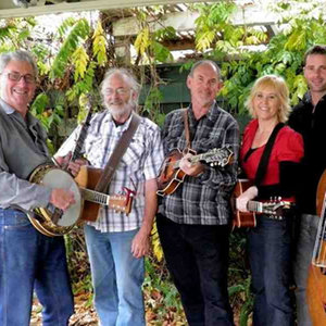 The Hamilton County Bluegrass Band