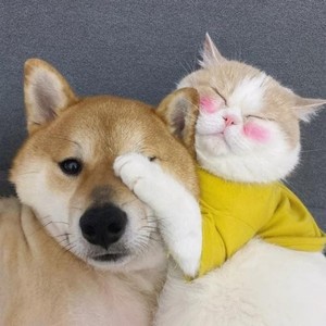 李同学yy资料,李同学yy最新歌曲,李同学yyMV视频,李同学yy音乐专辑,李同学yy好听的歌