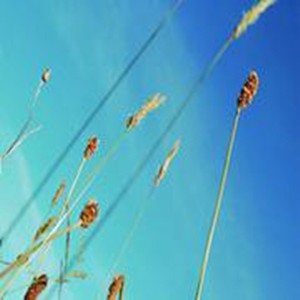 李泽言资料,李泽言最新歌曲,李泽言MV视频,李泽言音乐专辑,李泽言好听的歌