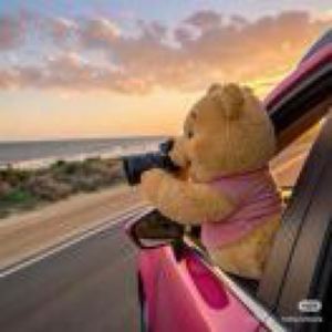 千城资料,千城最新歌曲,千城MV视频,千城音乐专辑,千城好听的歌