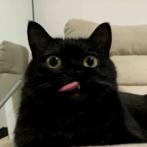 KhaZix资料,KhaZix最新歌曲,KhaZixMV视频,KhaZix音乐专辑,KhaZix好听的歌