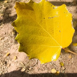 马高昆资料,马高昆最新歌曲,马高昆MV视频,马高昆音乐专辑,马高昆好听的歌