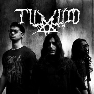 Toxoid资料,Toxoid最新歌曲,ToxoidMV视频,Toxoid音乐专辑,Toxoid好听的歌