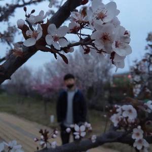 赵永斌资料,赵永斌最新歌曲,赵永斌MV视频,赵永斌音乐专辑,赵永斌好听的歌