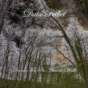 Data Rebel - Spektral Strut