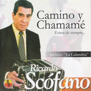 Ricardo Scófano资料,Ricardo Scófano最新歌曲,Ricardo ScófanoMV视频,Ricardo Scófano音乐专辑,Ricardo Scófano好听的歌