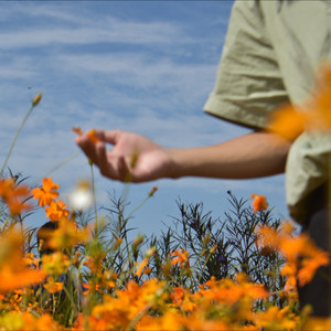 不爱吃橘子资料,不爱吃橘子最新歌曲,不爱吃橘子MV视频,不爱吃橘子音乐专辑,不爱吃橘子好听的歌
