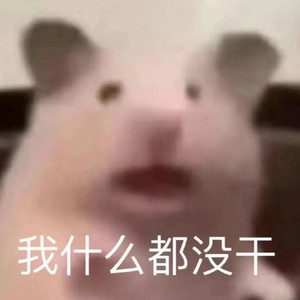 长啥样