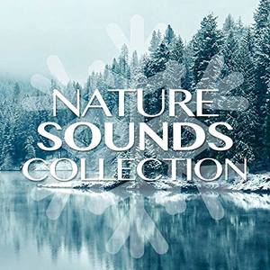 Nature Sound Collection资料,Nature Sound Collection最新歌曲,Nature Sound CollectionMV视频,Nature Sound Collection音乐专辑,Nature Sound Collection好听的歌