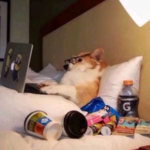 请叫冉sir资料,请叫冉sir最新歌曲,请叫冉sirMV视频,请叫冉sir音乐专辑,请叫冉sir好听的歌