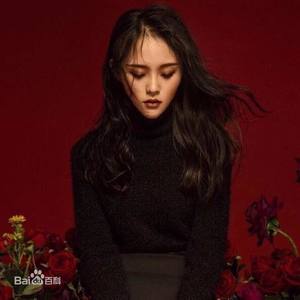 陈诗诗资料,陈诗诗最新歌曲,陈诗诗MV视频,陈诗诗音乐专辑,陈诗诗好听的歌