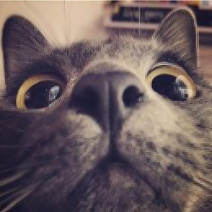 大百科资料,大百科最新歌曲,大百科MV视频,大百科音乐专辑,大百科好听的歌