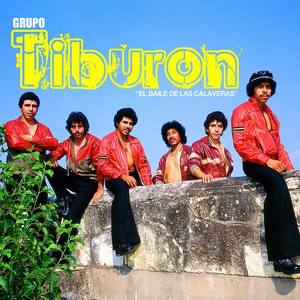 Grupo Tiburon