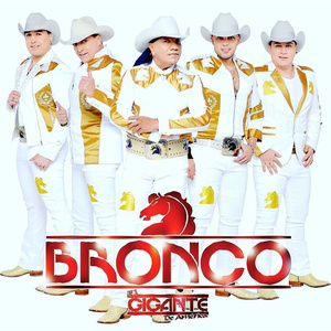 Bronco资料,Bronco最新歌曲,BroncoMV视频,Bronco音乐专辑,Bronco好听的歌