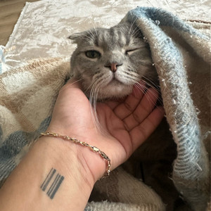 Huseyin Ali资料,Huseyin Ali最新歌曲,Huseyin AliMV视频,Huseyin Ali音乐专辑,Huseyin Ali好听的歌