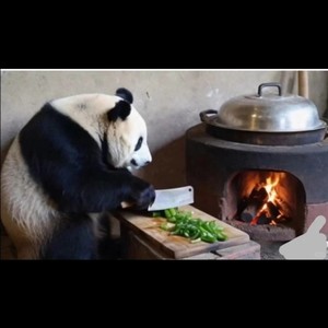 半半资料,半半最新歌曲,半半MV视频,半半音乐专辑,半半好听的歌