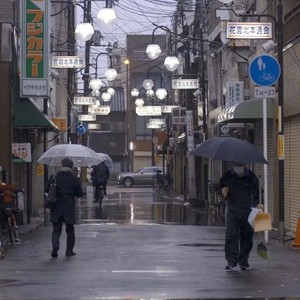 白菜资料,白菜最新歌曲,白菜MV视频,白菜音乐专辑,白菜好听的歌