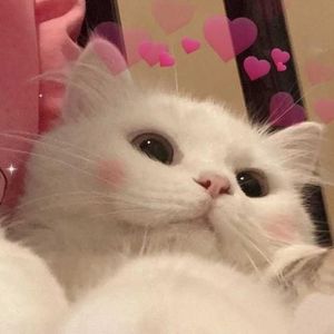 天空之城 (经典钢琴版)