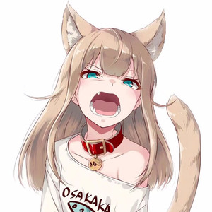 慵懒的猫资料,慵懒的猫最新歌曲,慵懒的猫MV视频,慵懒的猫音乐专辑,慵懒的猫好听的歌