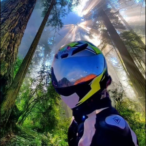 WhizKid资料,WhizKid最新歌曲,WhizKidMV视频,WhizKid音乐专辑,WhizKid好听的歌