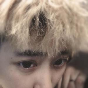 王靖雯资料,王靖雯最新歌曲,王靖雯MV视频,王靖雯音乐专辑,王靖雯好听的歌