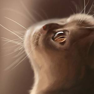 猫叔资料,猫叔最新歌曲,猫叔MV视频,猫叔音乐专辑,猫叔好听的歌