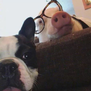 任相羽资料,任相羽最新歌曲,任相羽MV视频,任相羽音乐专辑,任相羽好听的歌